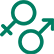 男女比率